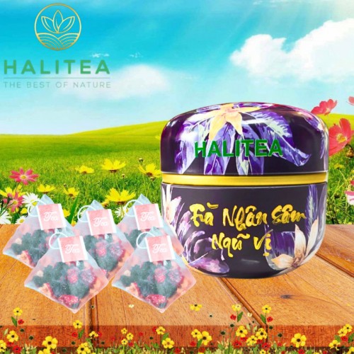 Trà Nhân Sâm Ngũ Vị HALITEA Túi Tam Giác Hộp Thiếc 50gr/ hộp/ 10 túi 